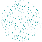 Cercle motifs décliné du logotype d'Amélie Belgrand