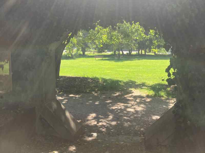Lumière traversant une arche végétale dans un jardin, symbole de présence à soi et de reconnexion pratiquée en sophrologie et ACT