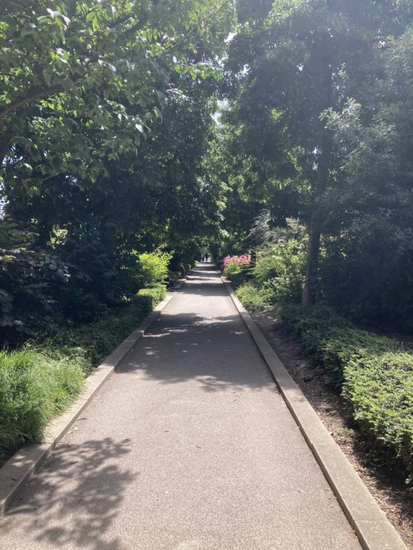Chemin dans un jardin pour évoquer la rentrée intérieure et un nouveau départ